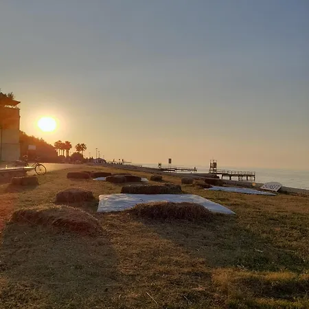 Sole Amare * בארי
