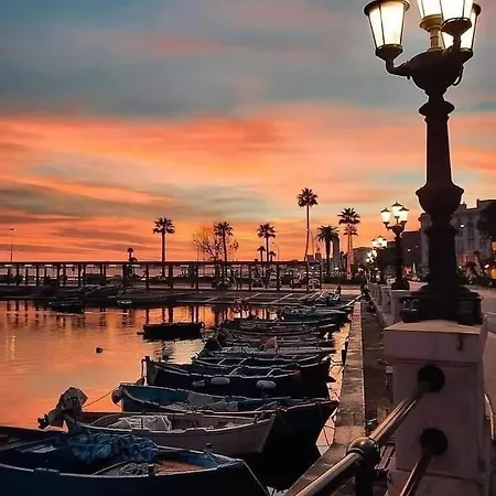 Sole Amare